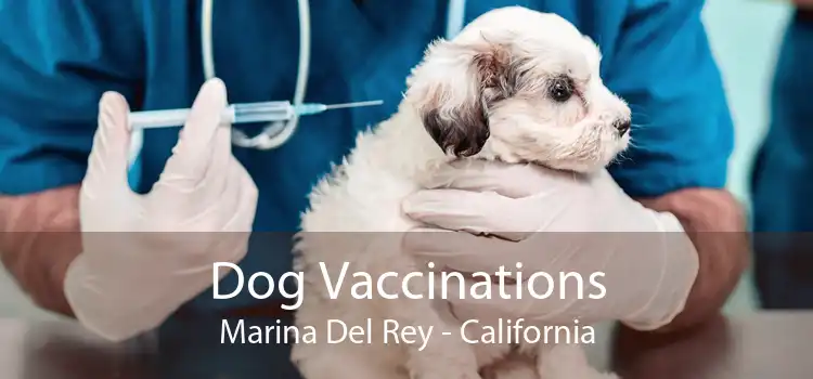 Dog Vaccinations Marina Del Rey - California