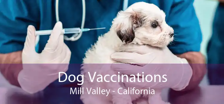 Dog Vaccinations Mill Valley - California