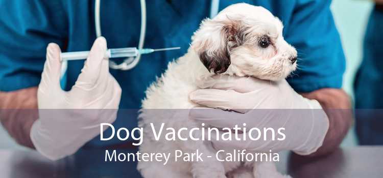 Dog Vaccinations Monterey Park - California