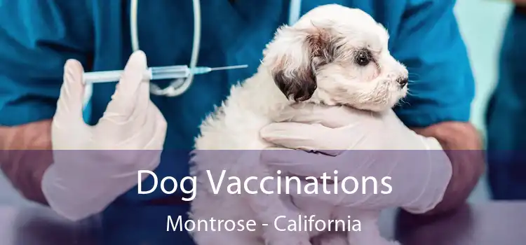 Dog Vaccinations Montrose - California