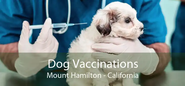 Dog Vaccinations Mount Hamilton - California