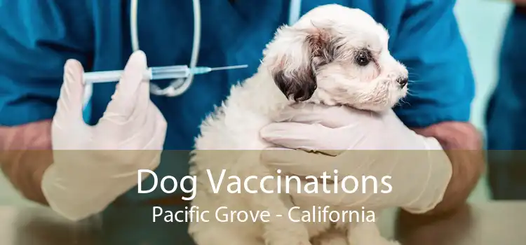 Dog Vaccinations Pacific Grove - California