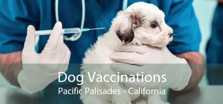 Dog Vaccinations Pacific Palisades - California