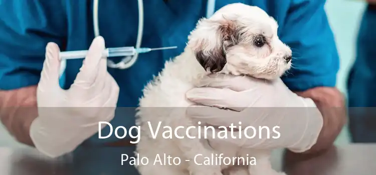 Dog Vaccinations Palo Alto - California