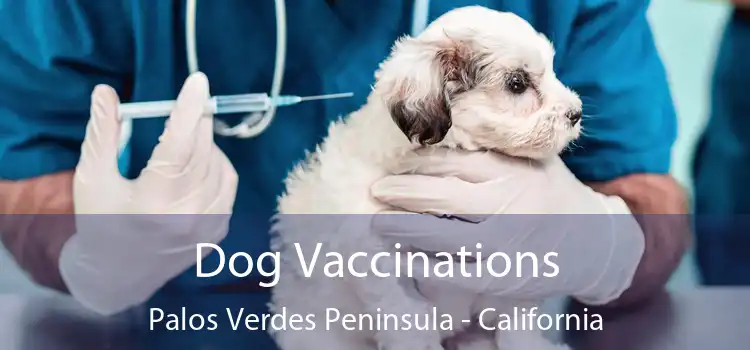 Dog Vaccinations Palos Verdes Peninsula - California