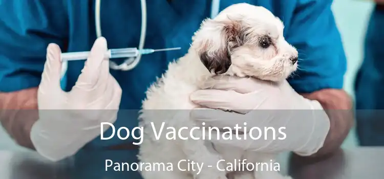 Dog Vaccinations Panorama City - California