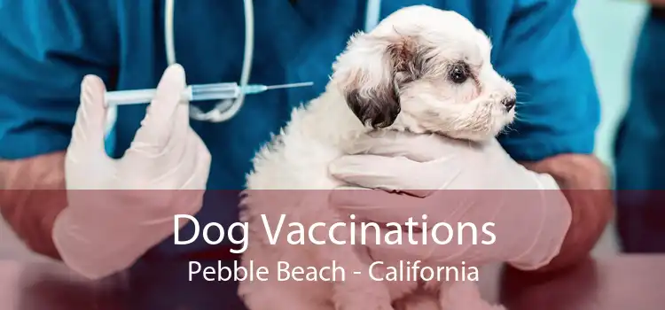 Dog Vaccinations Pebble Beach - California