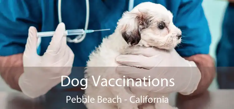 Dog Vaccinations Pebble Beach - California