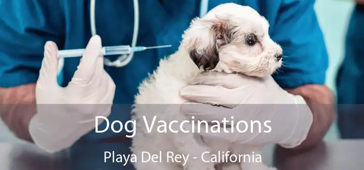 Dog Vaccinations Playa Del Rey - California