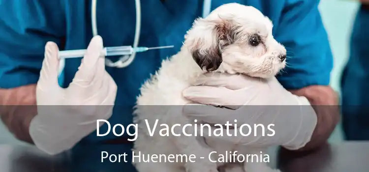 Dog Vaccinations Port Hueneme - California