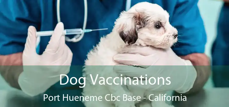 Dog Vaccinations Port Hueneme Cbc Base - California