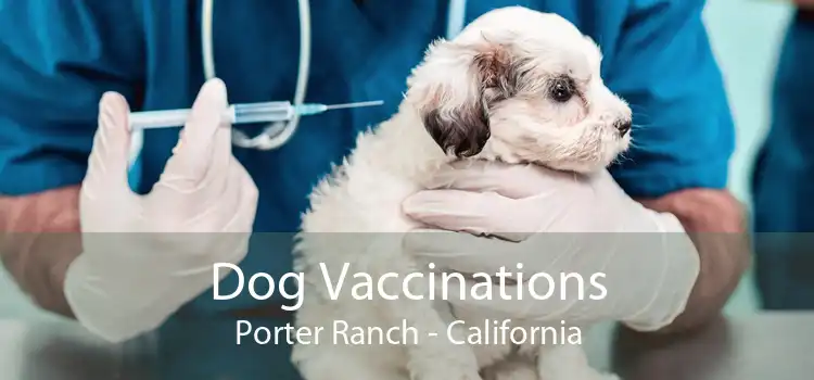 Dog Vaccinations Porter Ranch - California