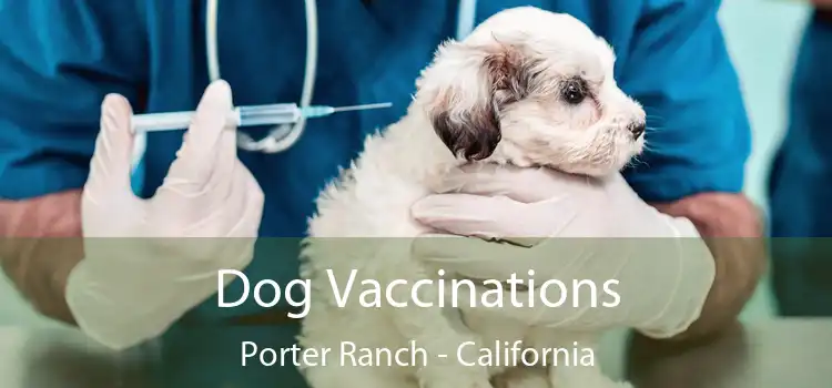 Dog Vaccinations Porter Ranch - California