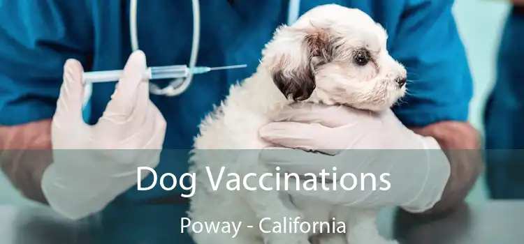 Dog Vaccinations Poway - California