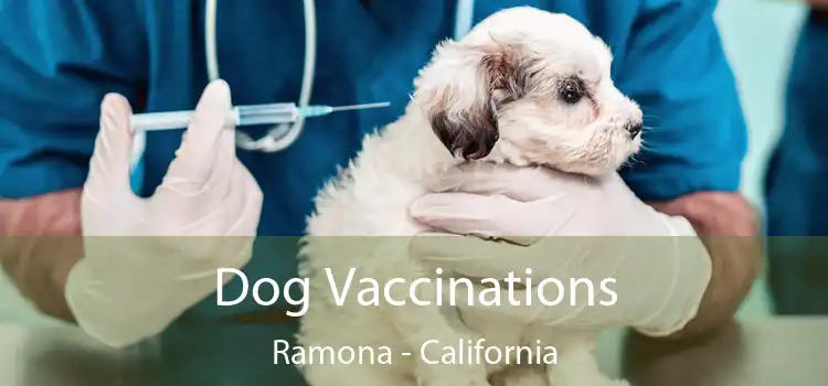 Dog Vaccinations Ramona - California