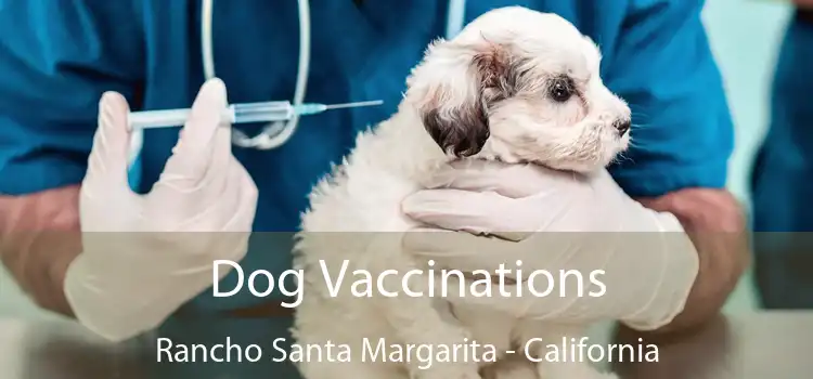 Dog Vaccinations Rancho Santa Margarita - California