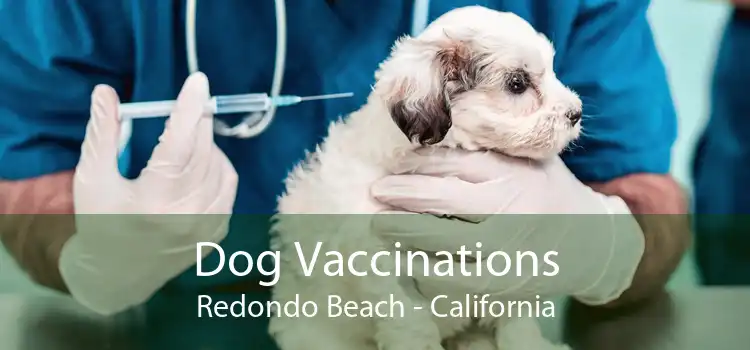 Dog Vaccinations Redondo Beach - California