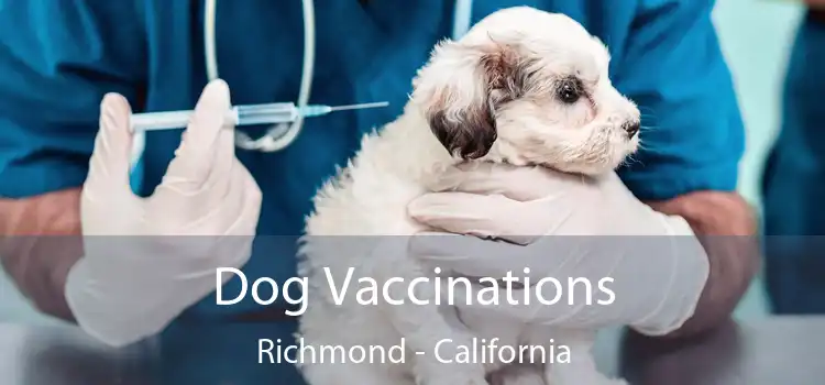 Dog Vaccinations Richmond - California