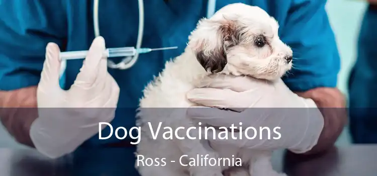 Dog Vaccinations Ross - California