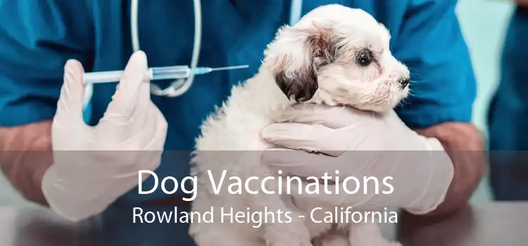 Dog Vaccinations Rowland Heights - California