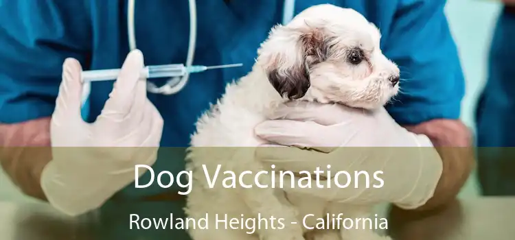 Dog Vaccinations Rowland Heights - California