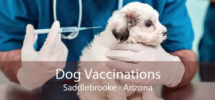 Dog Vaccinations Saddlebrooke - Arizona