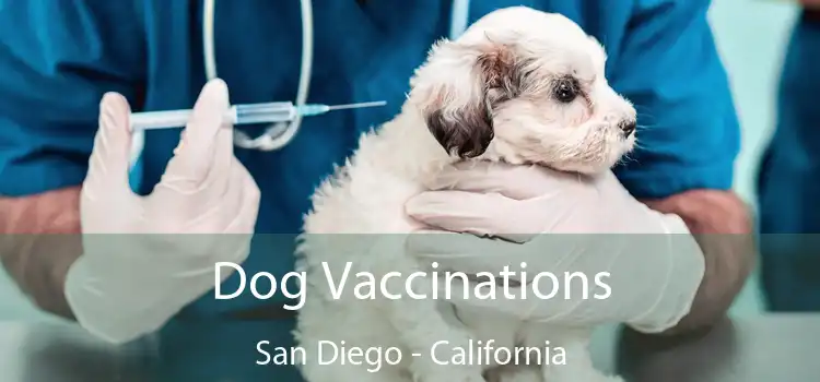 Dog Vaccinations San Diego - California