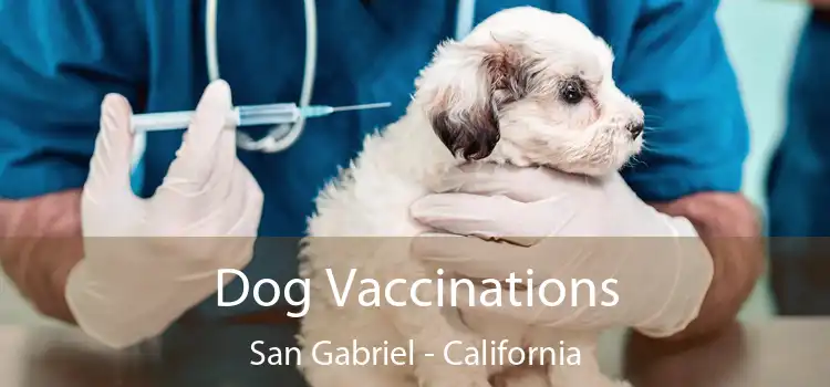 Dog Vaccinations San Gabriel - California