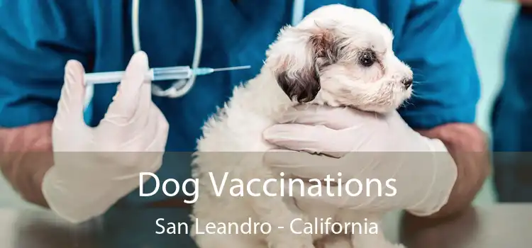 Dog Vaccinations San Leandro - California