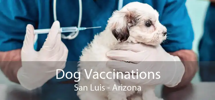 Dog Vaccinations San Luis - Arizona