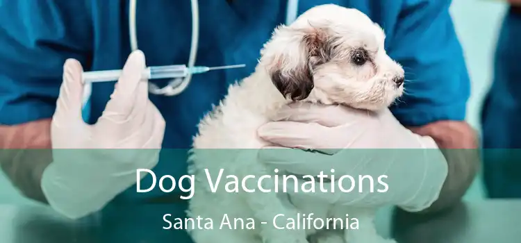 Dog Vaccinations Santa Ana - California