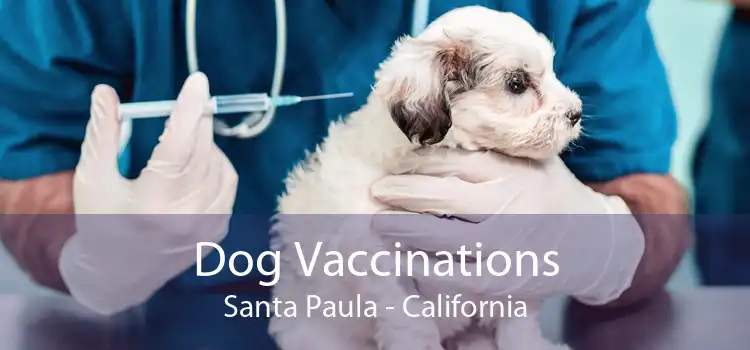 Dog Vaccinations Santa Paula - California