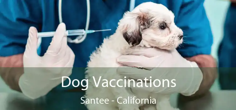 Dog Vaccinations Santee - California