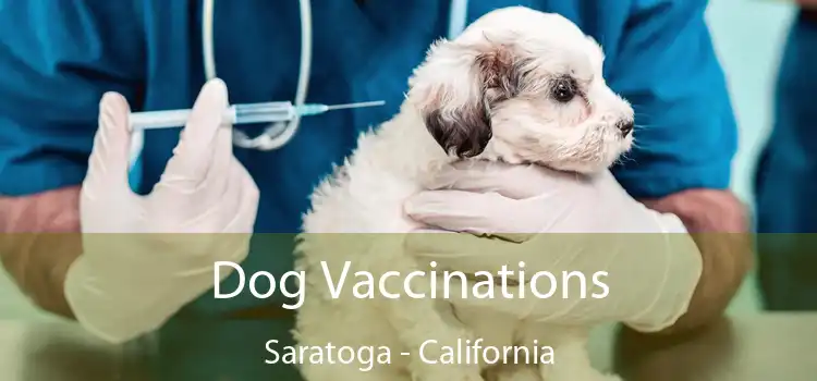 Dog Vaccinations Saratoga - California