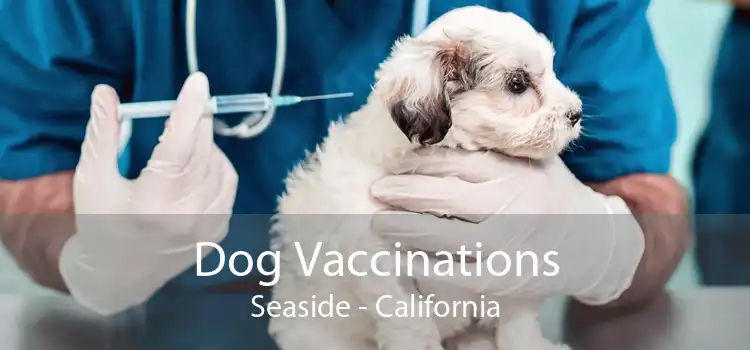 Dog Vaccinations Seaside - California