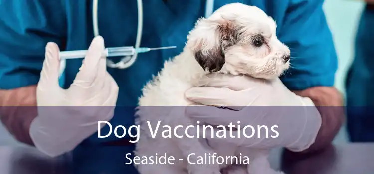 Dog Vaccinations Seaside - California