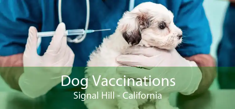 Dog Vaccinations Signal Hill - California