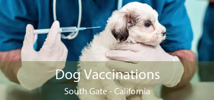 Dog Vaccinations South Gate - California