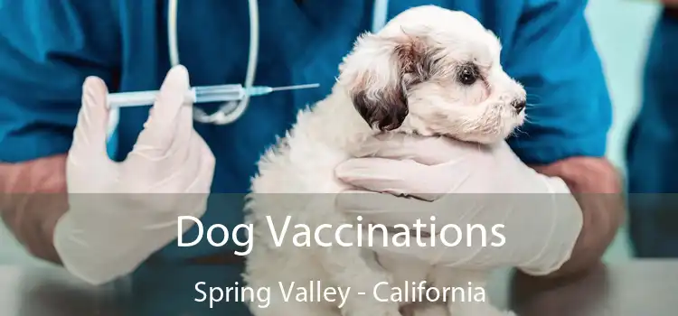 Dog Vaccinations Spring Valley - California