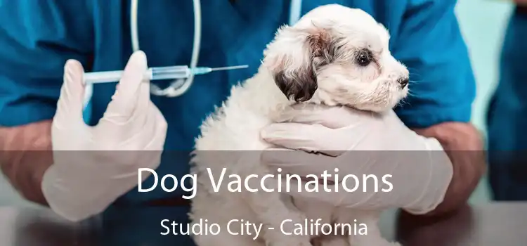 Dog Vaccinations Studio City - California