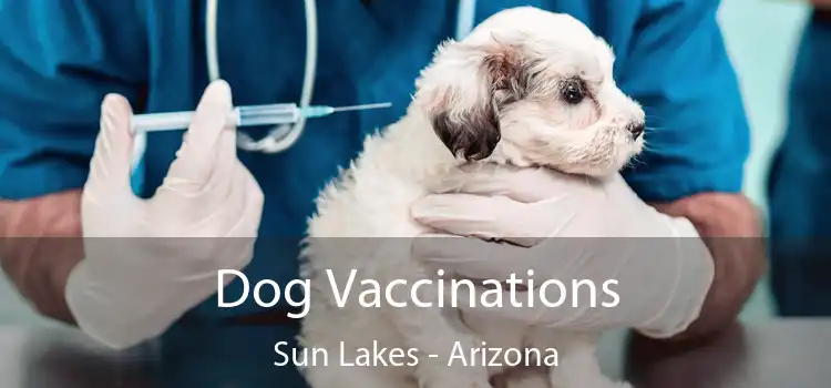 Dog Vaccinations Sun Lakes - Arizona