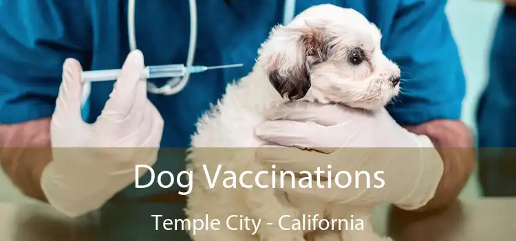 Dog Vaccinations Temple City - California