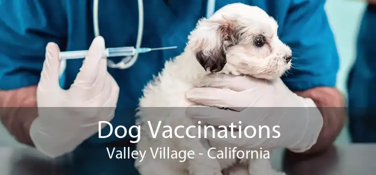 Dog Vaccinations Valley Village - California