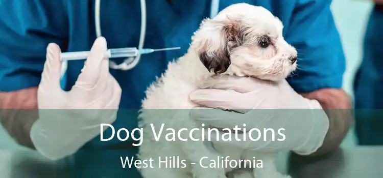 Dog Vaccinations West Hills - California