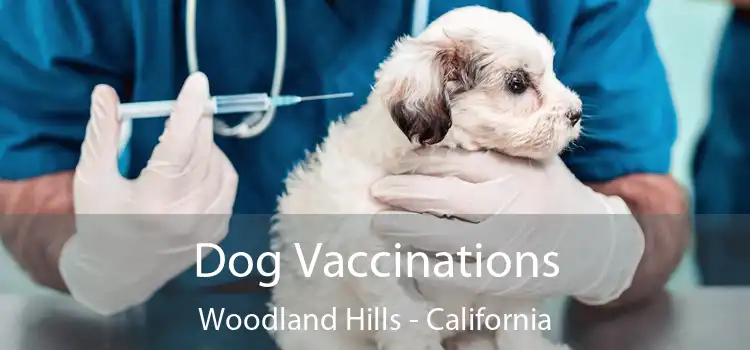 Dog Vaccinations Woodland Hills - California