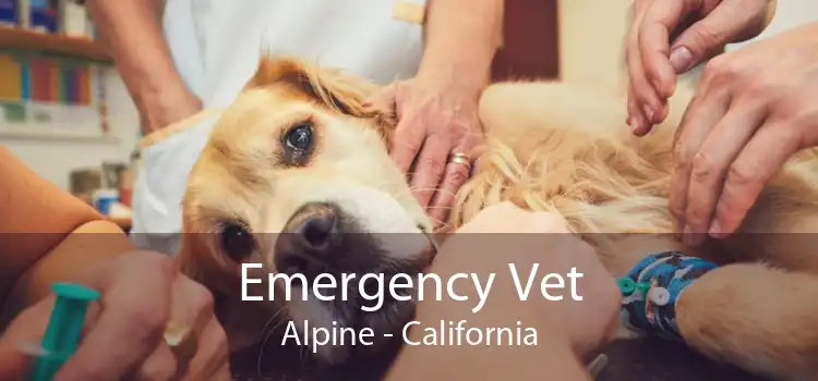 Emergency Vet Alpine - California