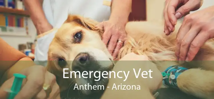 Emergency Vet Anthem - Arizona