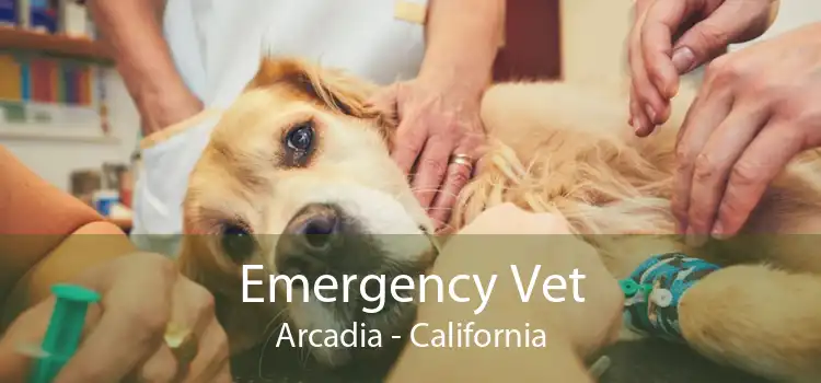 Emergency Vet Arcadia - California