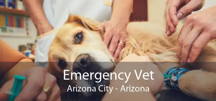 Emergency Vet Arizona City - Arizona