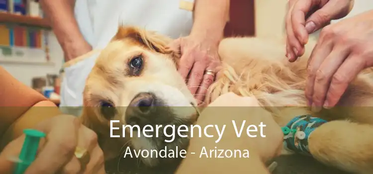 Emergency Vet Avondale - Arizona